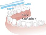 Kauflächen-Putztechnik